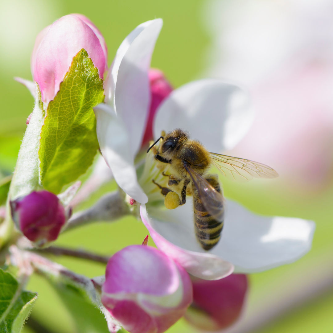 3 Sweetly Curated Tips for Picking The Best Gift For Mama ↟ Mother's Day Gift Guide 2023