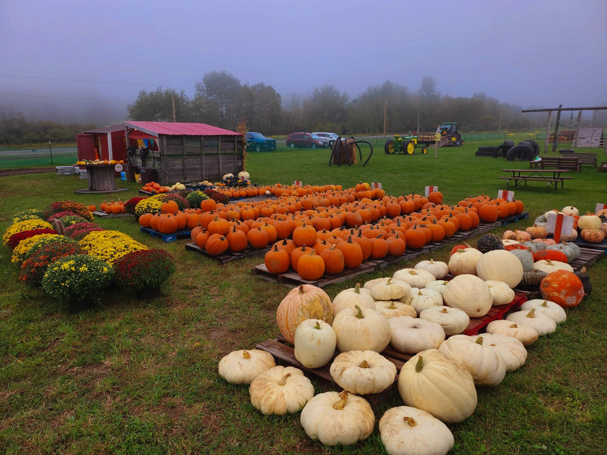 The Ultimate Northland Pumpkin Patch Adventures