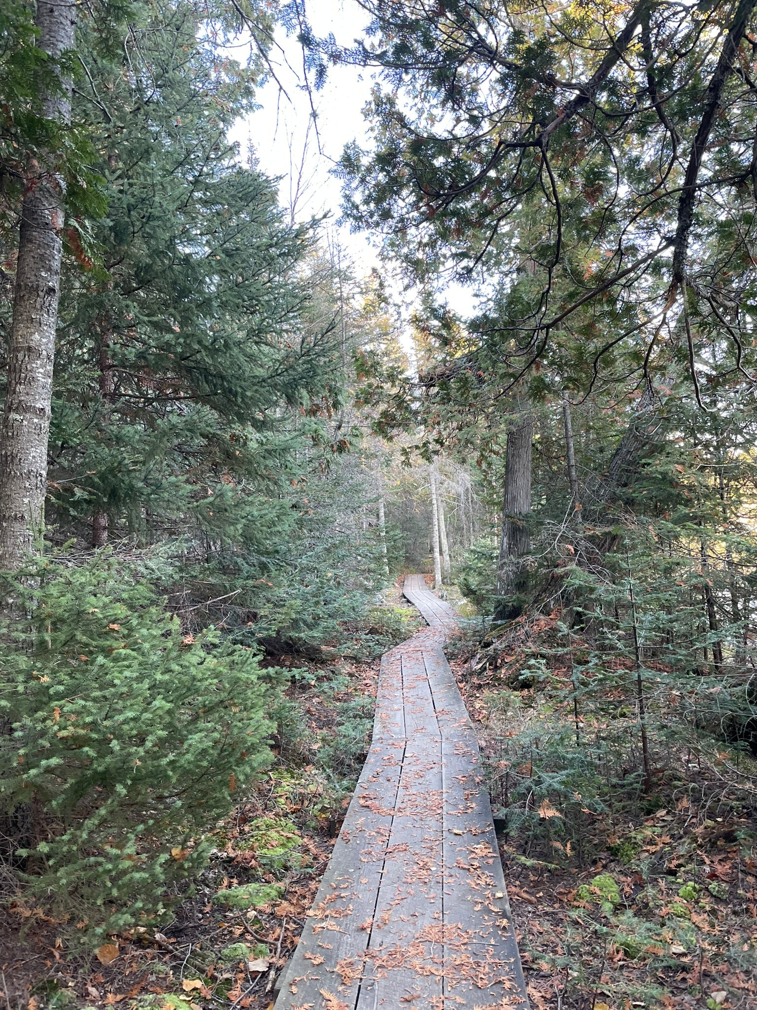 Family Guide to North Shore State Parks: George Crosby Manitou