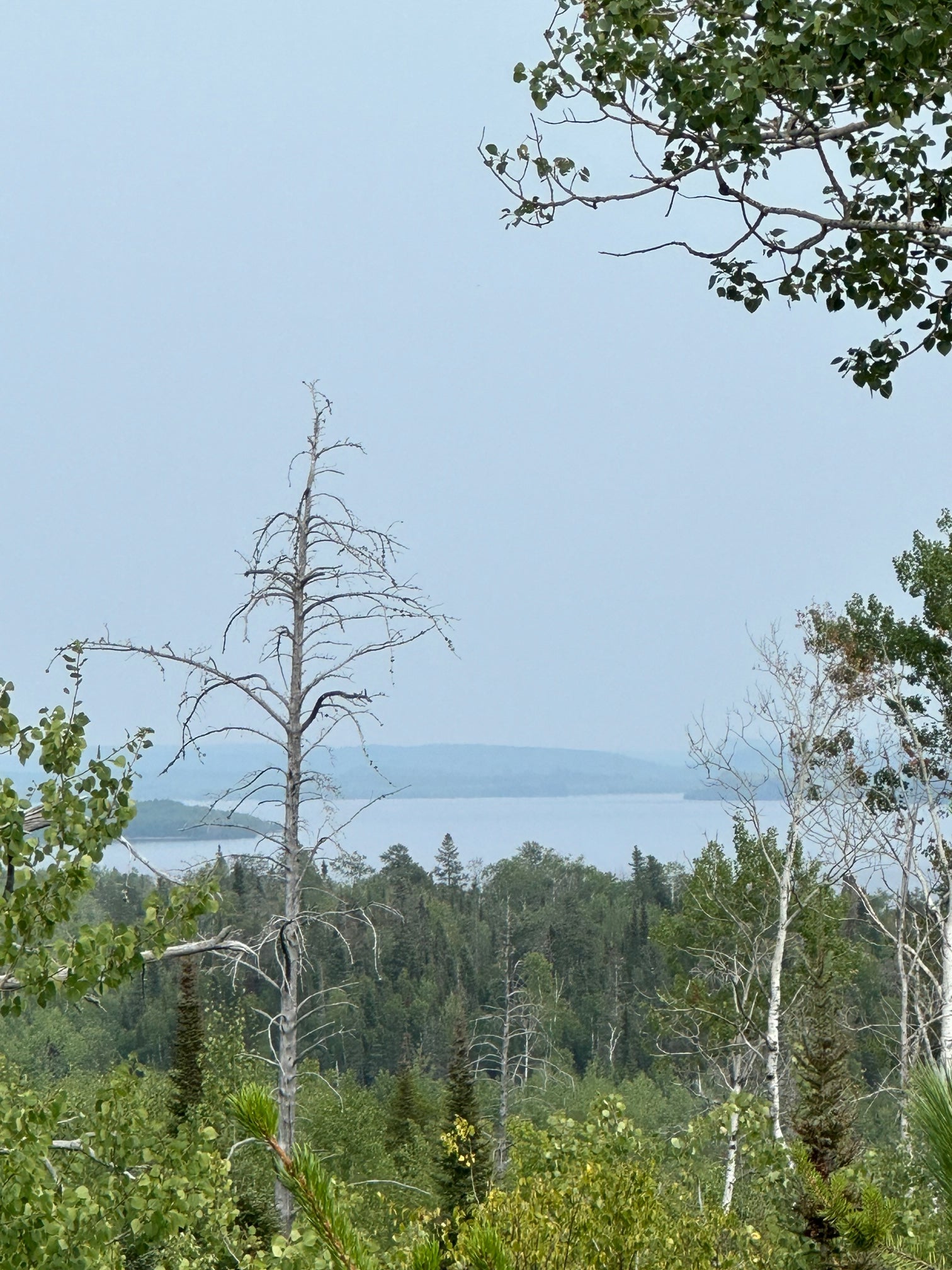 The Attraction is Real- The North Shore's Dog Friendly Magnetic Trail!