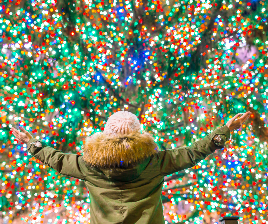 Minnesota's Christmas Lights + Date Nights