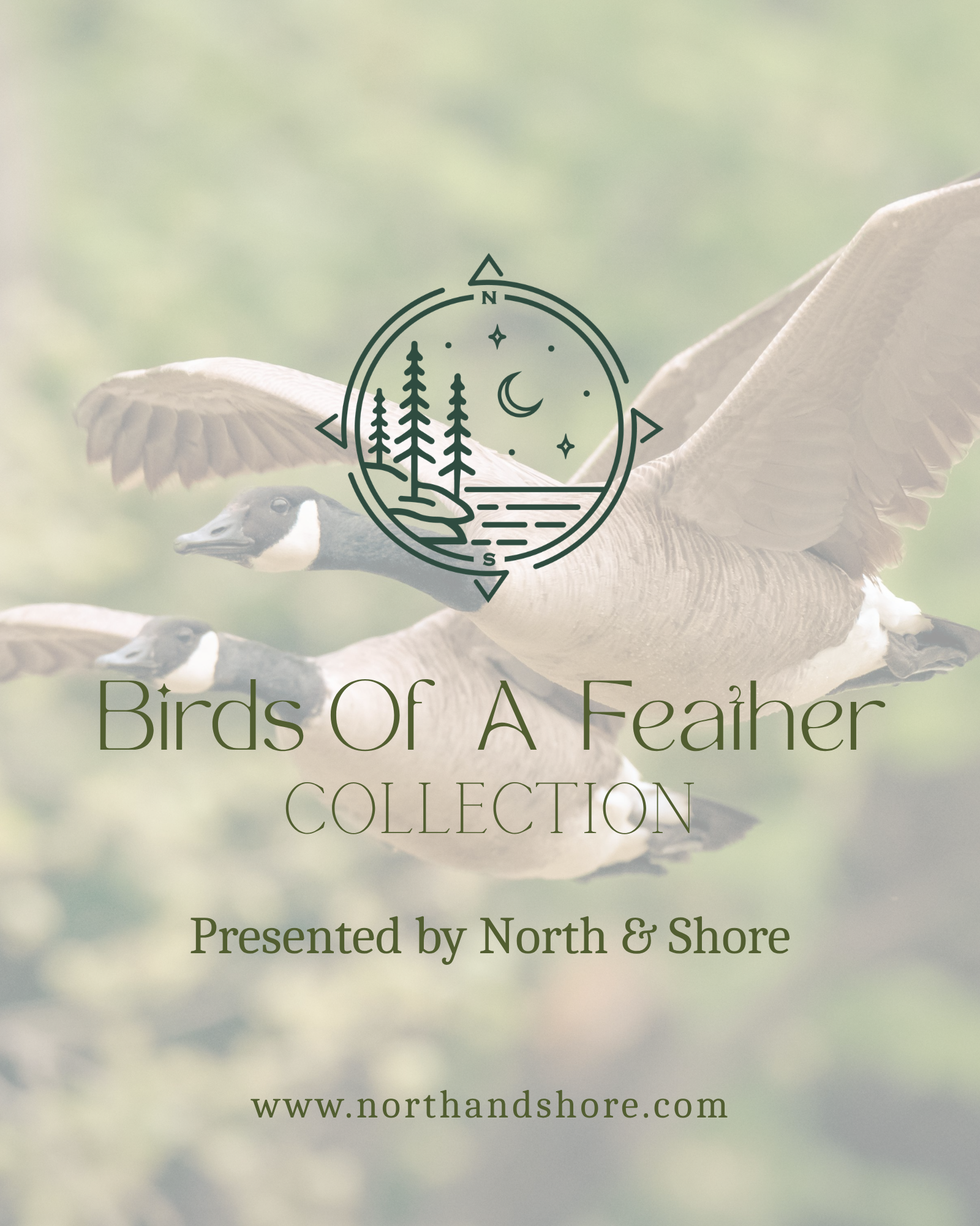 Birds of a Feather Collection