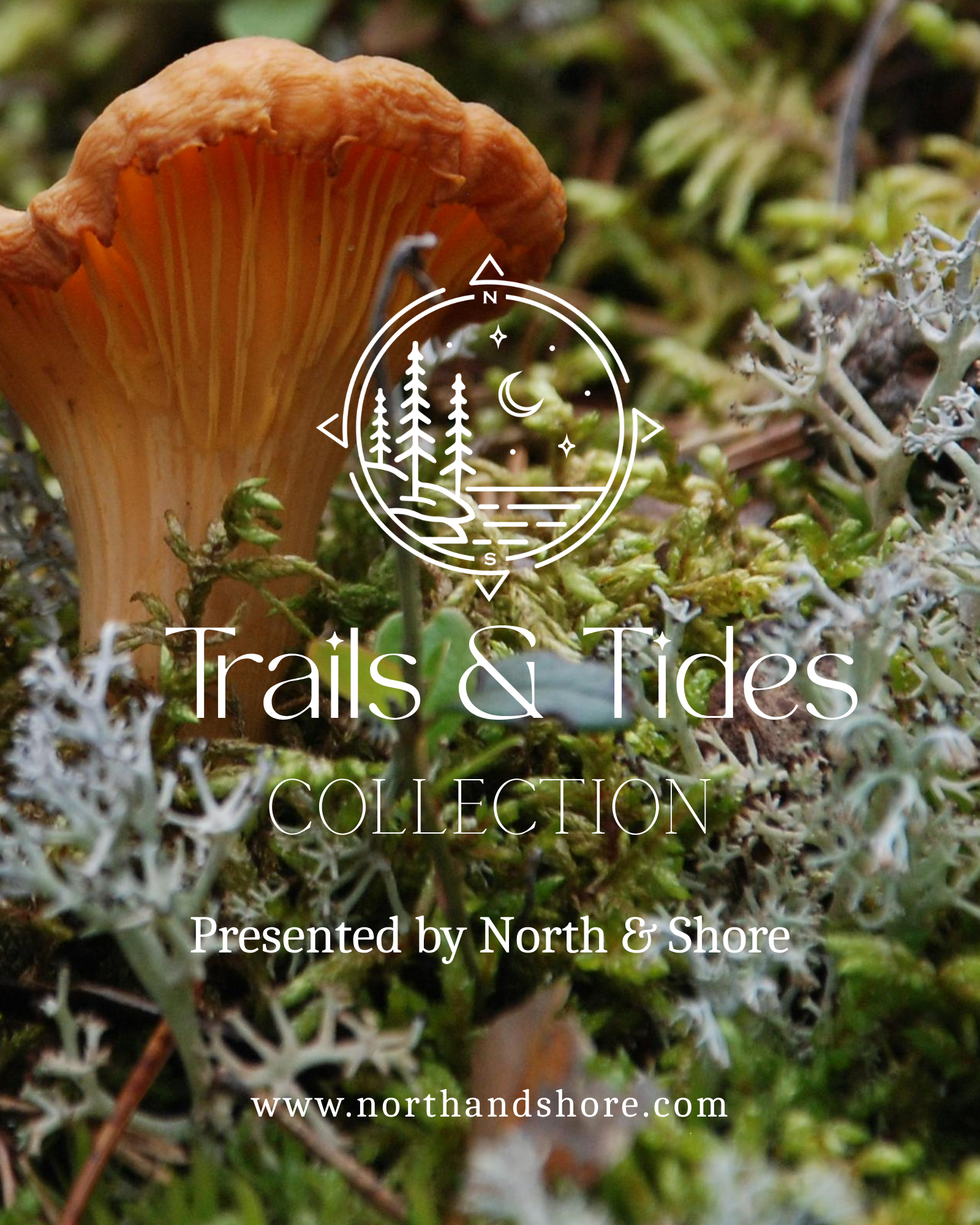 Trails + Tides: Summer Collection