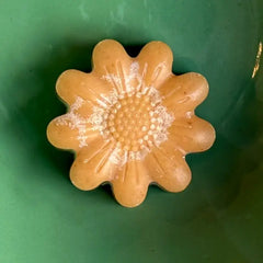 "Honey Turmeric" Tallow Face Bar by Dandelion Naturals