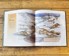 "Christmas Song of the North" by Marsha Bonicatto & Karlyn Holeman