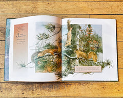 "Christmas Song of the North" by Marsha Bonicatto & Karlyn Holeman