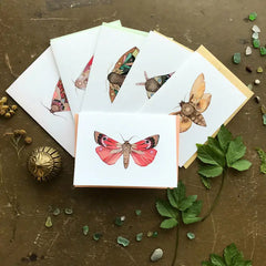 "Moth" Card Collector Pack #1 by Polanshek of the Hills