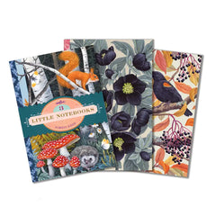 "Vasilisa Mini Notebooks" 3 Pack by Eeboo
