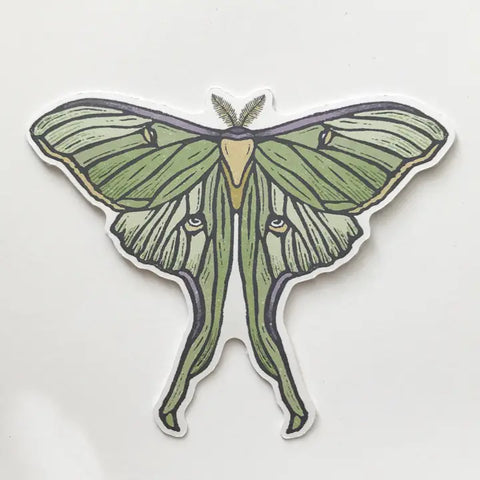 Luna Moth Eco-Friendly Sticker by Root & Branch Paper Co.