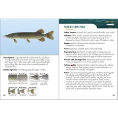 "Fish of Minnesota" Field Guide by Dave Bosanko