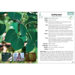 "Trees of Minnesota" Field Guide by Stan Tekiela