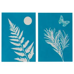 Solar Print Kit Outdoor Discovery by Toysmith