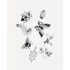 Solar Print Kit Outdoor Discovery by Toysmith