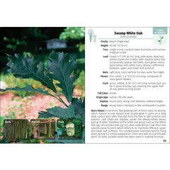"Trees of Minnesota" Field Guide by Stan Tekiela