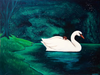 "Asleep On The Shores Of Swan Lake" Print by Shawna Gilmore