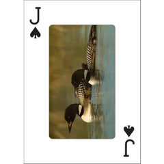 Loons Playing Cards by AdventureKEEN