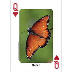Bees & Butterflies Playing Cards