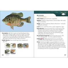 "Fish of Minnesota" Field Guide by Dave Bosanko
