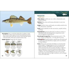 "Fish of Minnesota" Field Guide by Dave Bosanko