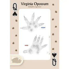 "Animal Tracks of the Midwest" Playing Cards by AdventureKEEN