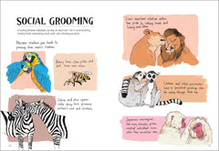 "Wildlife Anatomy: The Curious Lives + Features of a Wild Animal" Book by Julia Rothman