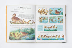 "Slow Down: 50 Mindful Moments in Nature" by Rachel Williams