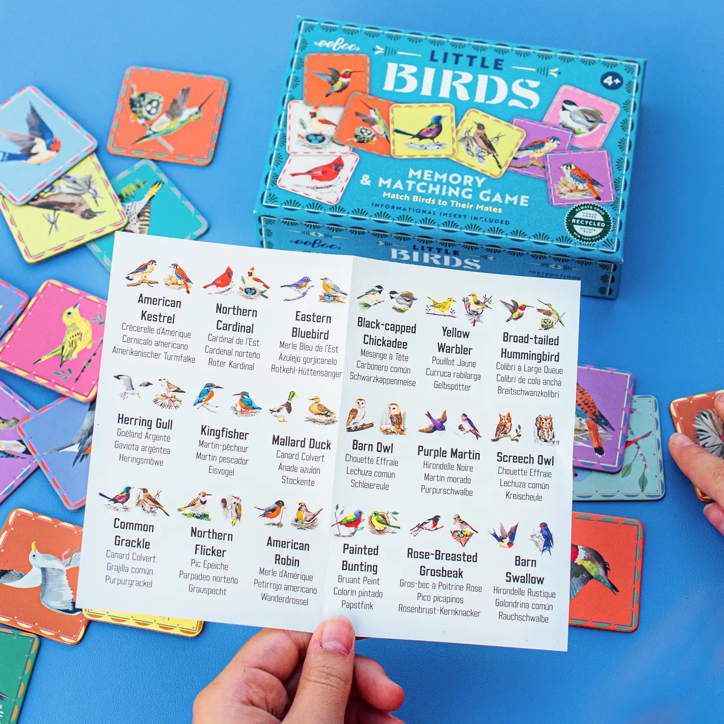 eeBoo: Memory & Matching Game – Natural Science – T lo regalo