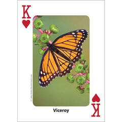 Bees & Butterflies Playing Cards