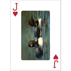 Loons Playing Cards by AdventureKEEN