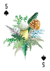 "A Woman's Place in The Wild Playing Cards" by Mountaineers Books
