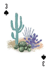 "A Woman's Place in The Wild Playing Cards" by Mountaineers Books