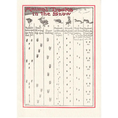 "Animal Tracks in Snow" Card by Saturn Press
