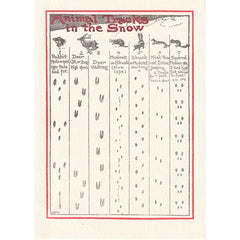 "Animal Tracks in Snow" Card by Saturn Press