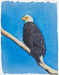 Bald Eagle " Wait & Renew " Print by Chris Dillon Watercolor