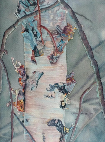 Colorful Birch  " Many-colored Tapestry of God's Grace. " Print by Chris Dillon Watercolor