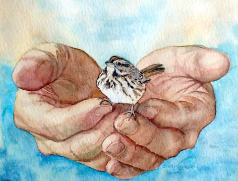 No Sparrow Falls Alone "No Never" Print by Chris Dillon Watercolor