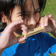Grass Whistle by Huckleberry by Kirkkerland