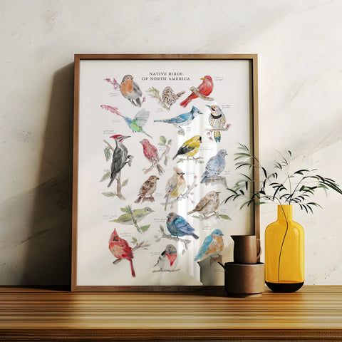 "Native Birds of North America" Print by Ann Brennan Designs