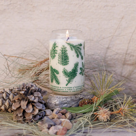 “ Evergreen + Conifers ” Glass Can 13 Oz Candle - Good & Well Supply Co.
