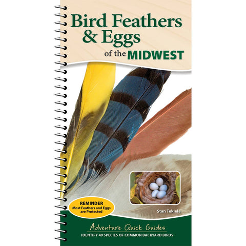 Bird Feather & Eggs of the Midwest Guide Book by Stan Tekiela