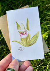 “Showy Lady Slipper” Mini Card Pack by GreyFoxArtworks