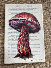 Mushroom Original Paintings by Alexa Carson