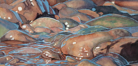 “Lakeshore Rocks” Print by Chris Dillon