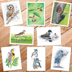 "MN Bird" Card Pack Collection by Rachael Koppendrayer