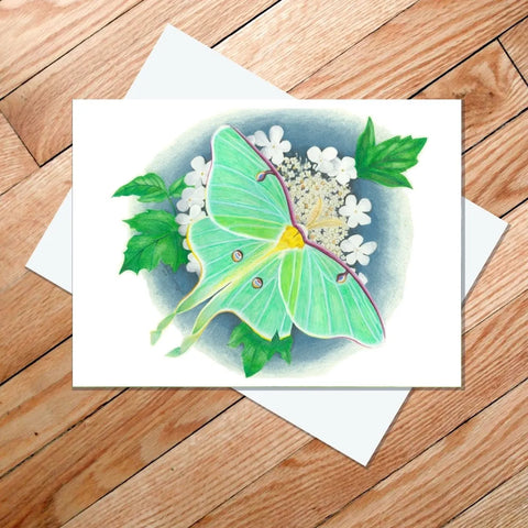 "Luna Moth" Card by Rachael Koppendrayer Art