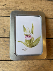 “Showy Lady Slipper” Mini Card Pack by GreyFoxArtworks