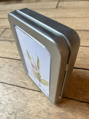 “Showy Lady Slipper” Mini Card Pack by GreyFoxArtworks