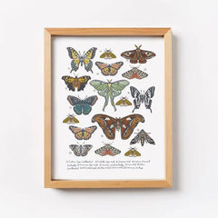 Butterfly & Moth Print by Root & Branch Paper Co.