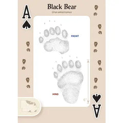 "Animal Tracks of the Midwest" Playing Cards by AdventureKEEN
