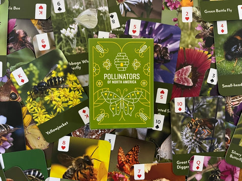 "Pollinators Of North America" Playing Cards
